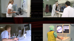 Teleradiologie - Funktion und Organisation