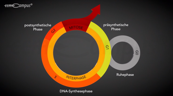 page.title Vorschaubild
