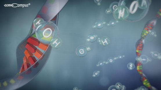 radiochemische Phase