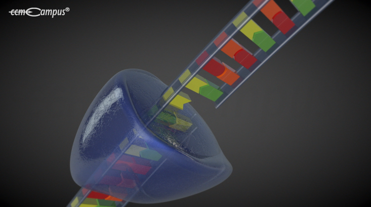 page.title Vorschaubild