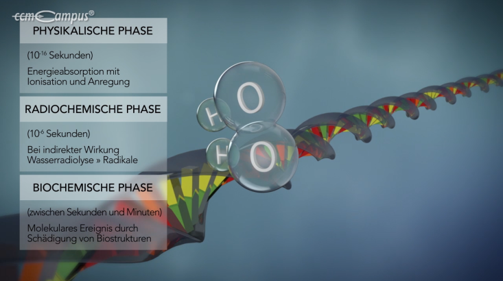 page.title Vorschaubild