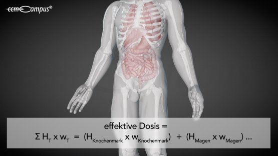 effektive Dosis
