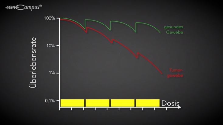 page.title Vorschaubild