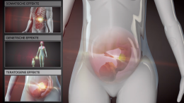 Somatische, genetische und teratogene Schäden