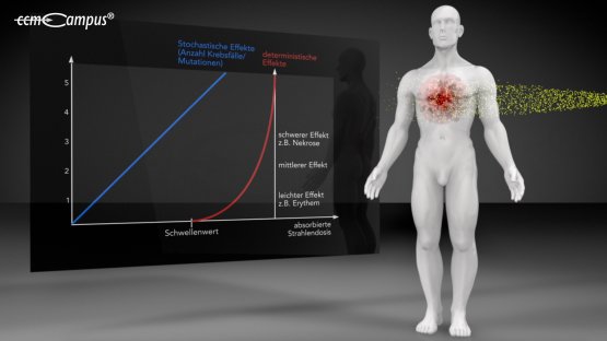 stochastischer Strahlenschaden