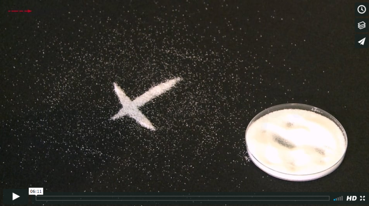 page.title Vorschaubild