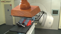 Genehmigungs- und Anzeigeverfahren